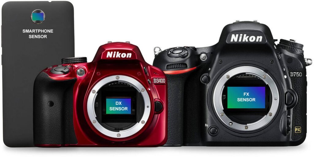 Nikon DSLR Camera Comparison: Finding Your Perfect Photographic Companion
