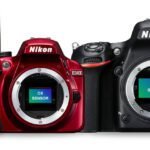 Nikon DSLR Camera Comparison: Finding Your Perfect Photographic Companion